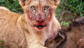 1d9bce2d92224f72bd225891191c26bc