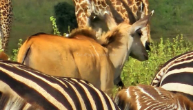 IMG_20251215_222957-scaled