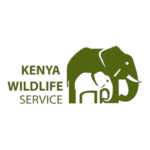 OIP__4_-removebg-preview