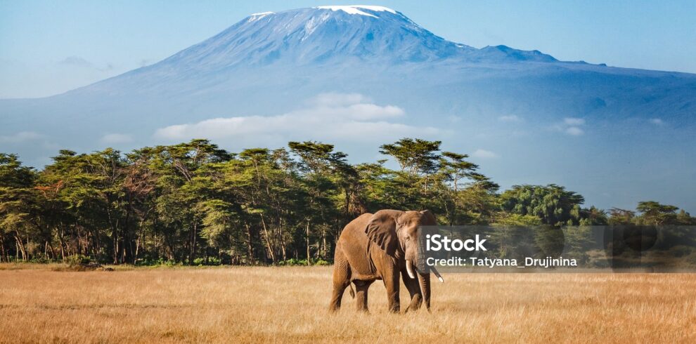 Amboseli National Park.