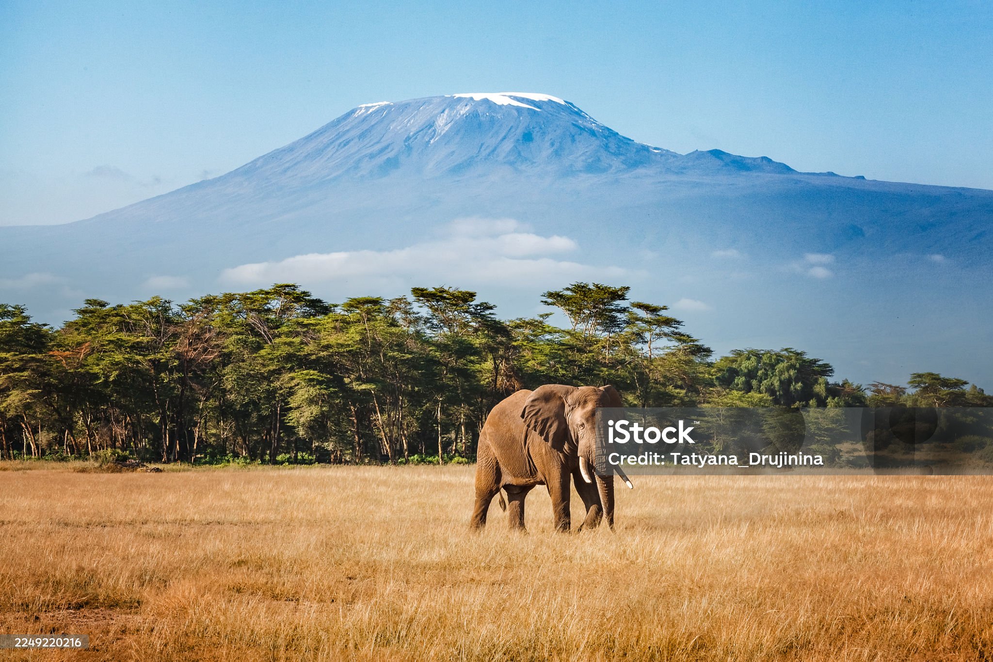 Amboseli National Park.